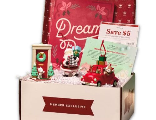 2027 Reveal: Dream Box