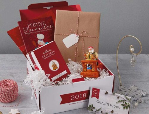 2019 Sneak Peek: Dream Box